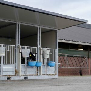 DairyTop Quattro Calf Box XL