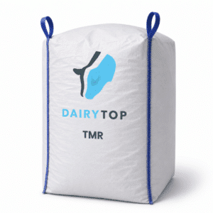 Dairy Kalver TMR