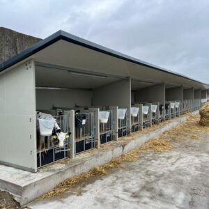 DairyTop Demontabele Kalvereenlingboxen Buitenopstelling