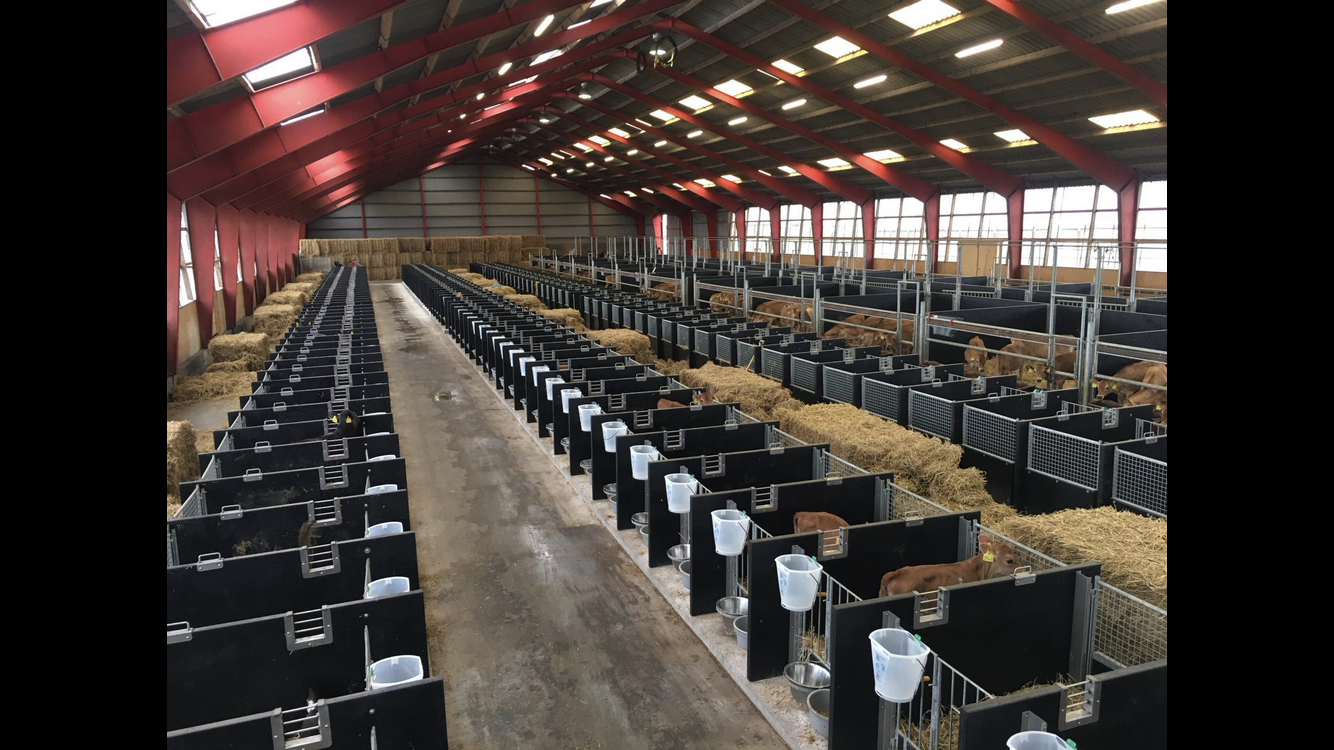 DairyTop custom-made projects - Image 2