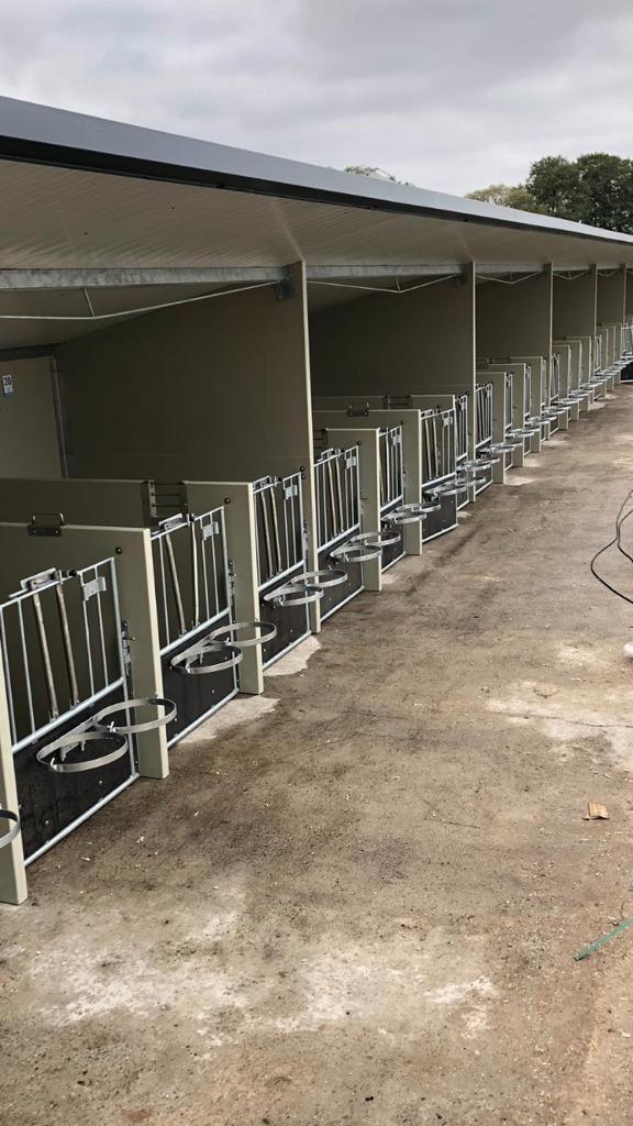 DairyTop maßgeschneiderte Kälberboxen: – Bild 6