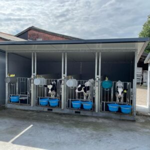 DairyTop Deluxe Quattro Kälberbox Mobil