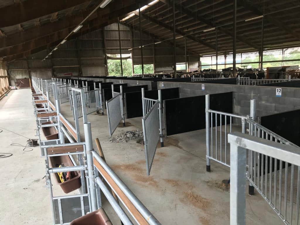 DairyTop maßgeschneiderte Kälberboxen: – Bild 3