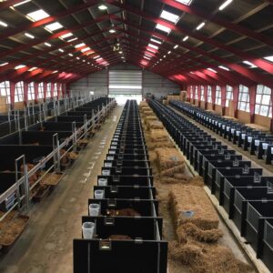 DairyTop maßgeschneiderte Kälberboxen: