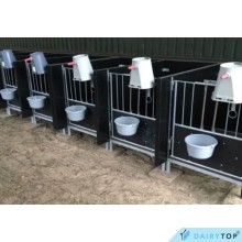 DairyTop Kalverboxen op poten
