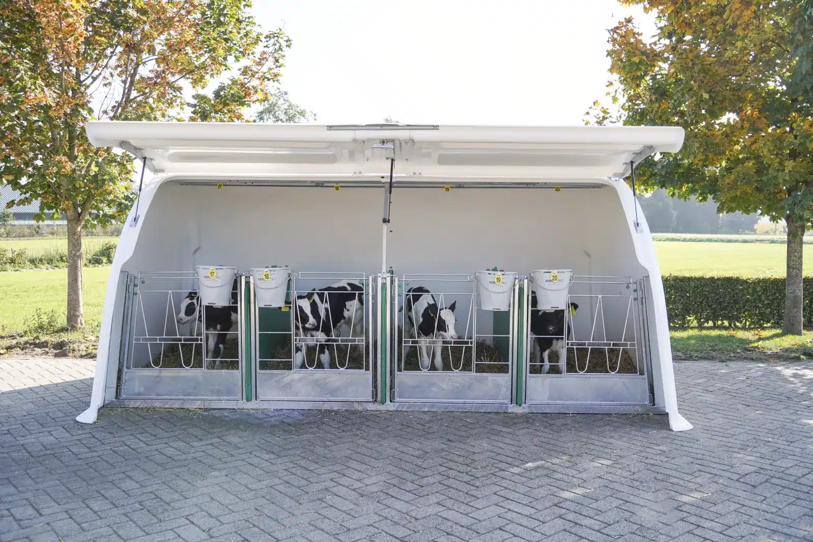Two CalfOTel Hybrid calf hutches with an open front, outdoors in a yard