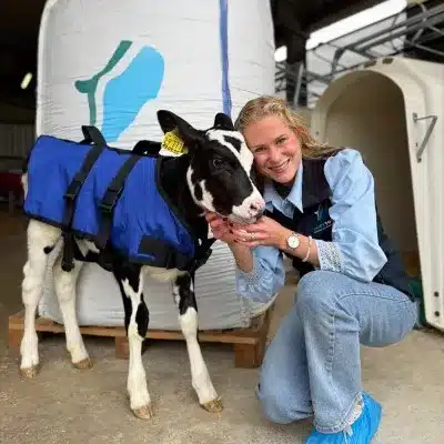 Adviseur van DairyTop met een kalf in een kalverdekje