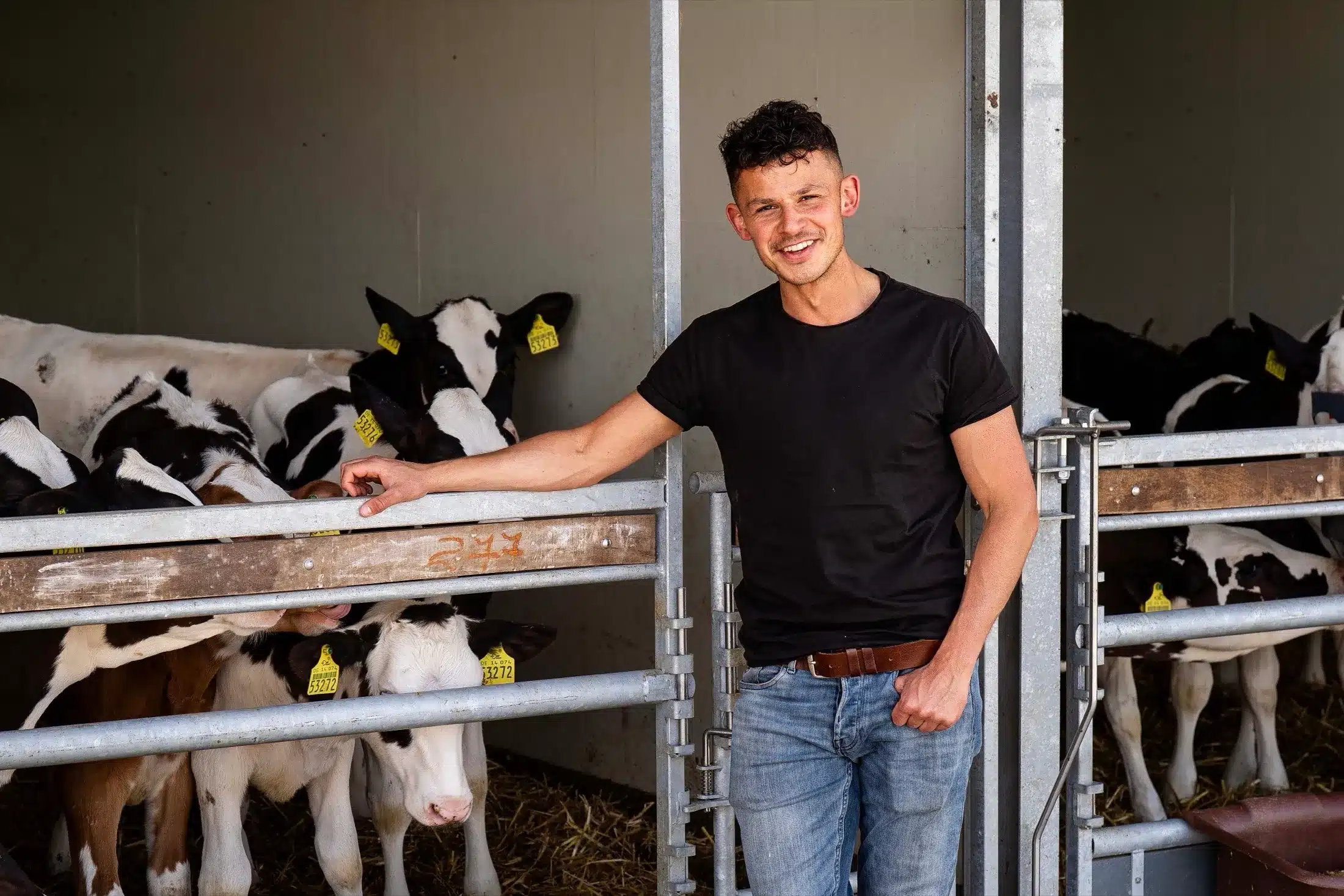 Een medewerker van DairyTop bij een groep kalveren in de stal