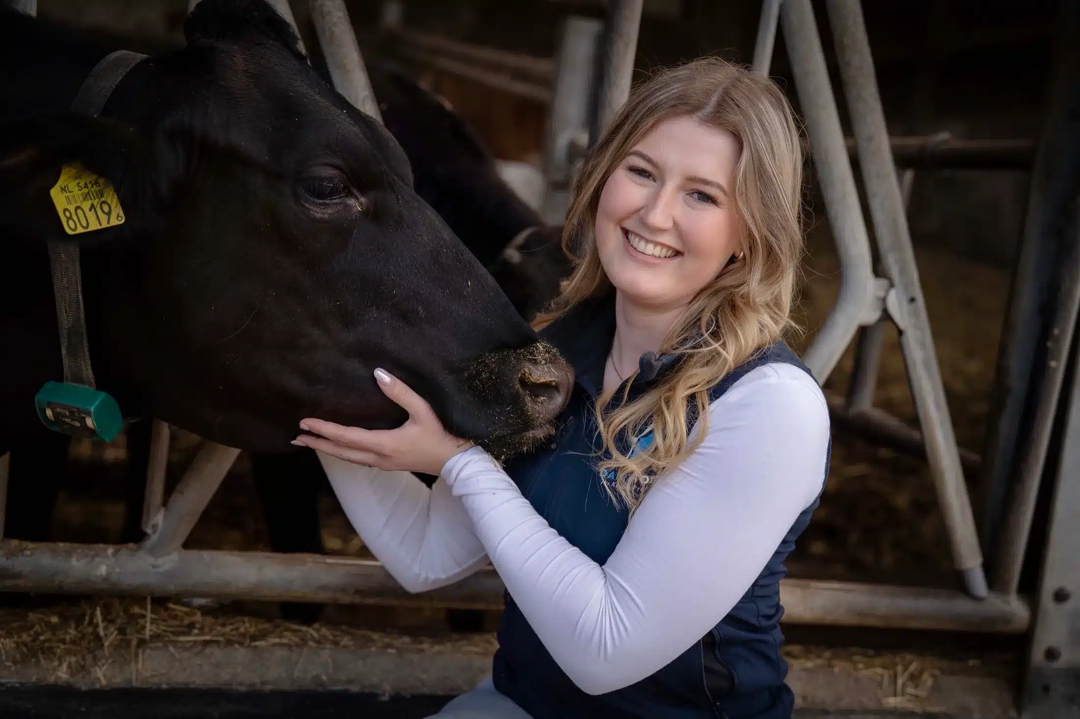 Adviseur van DairyTop naast een koe aan het voerhek