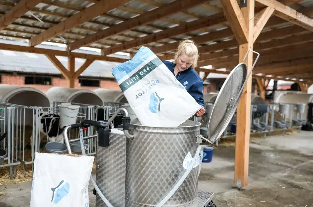 Een medewerker schudt Pro Elite melkpoeder in een melktank, met kalverhutten op de achtergrond
