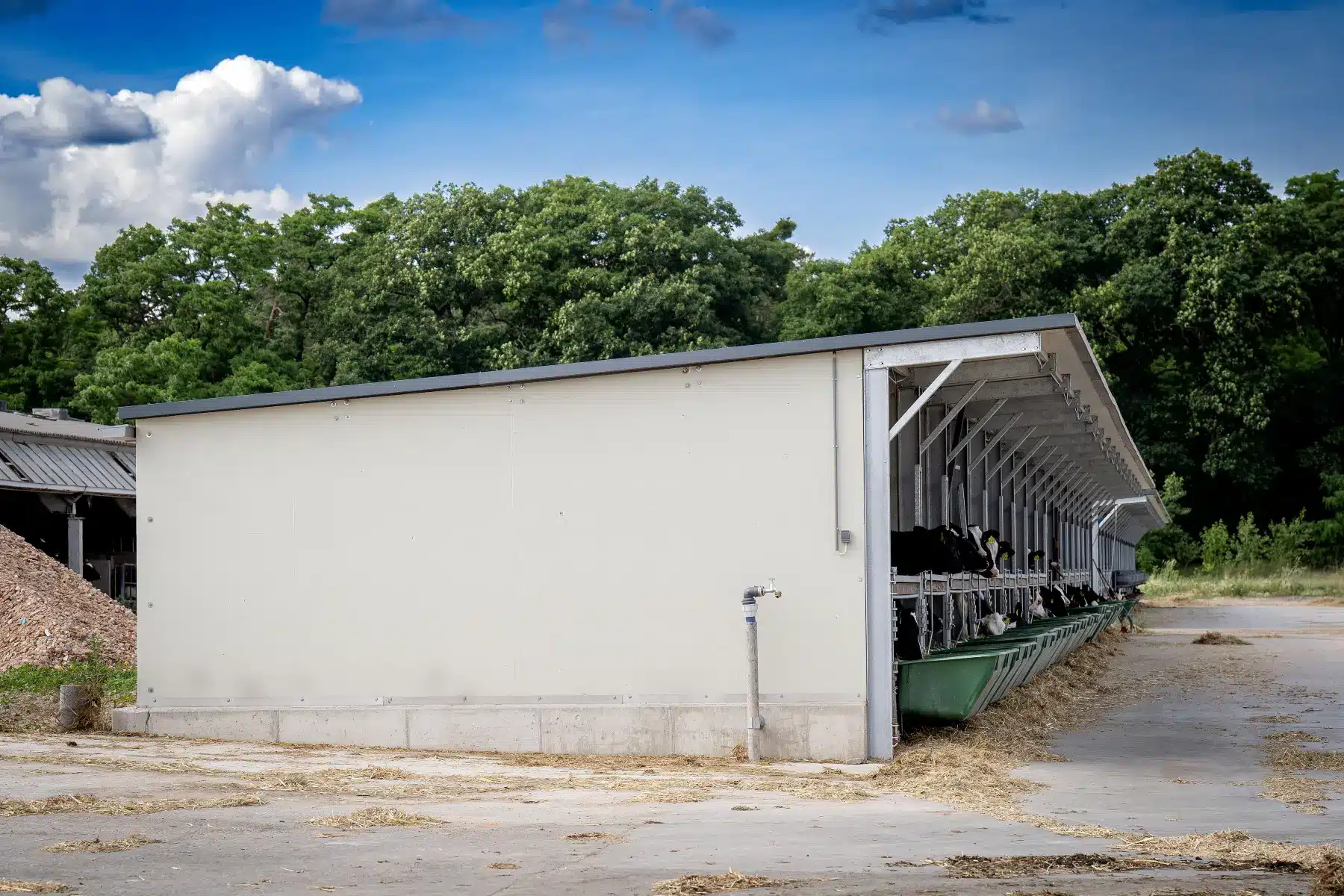 Gesloten achterwand van kunststof panelen van een Optima Klima Stal