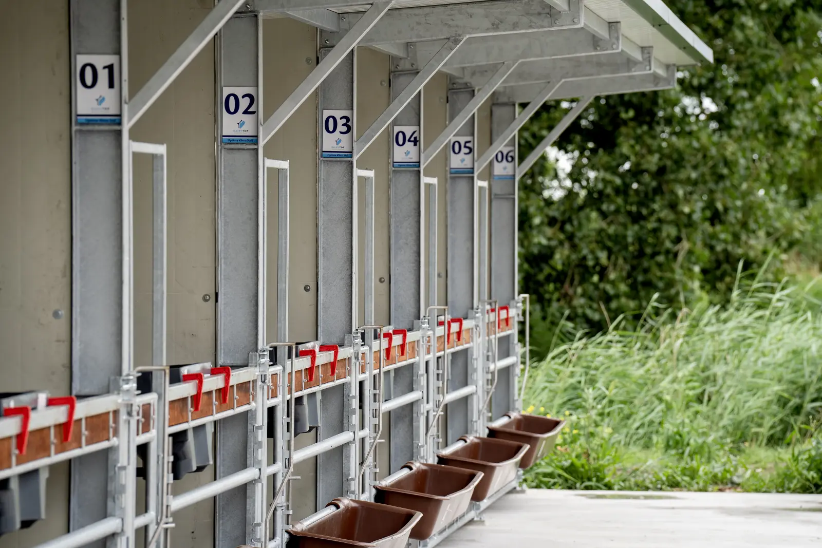 Newly built calf barn with numbered pens
