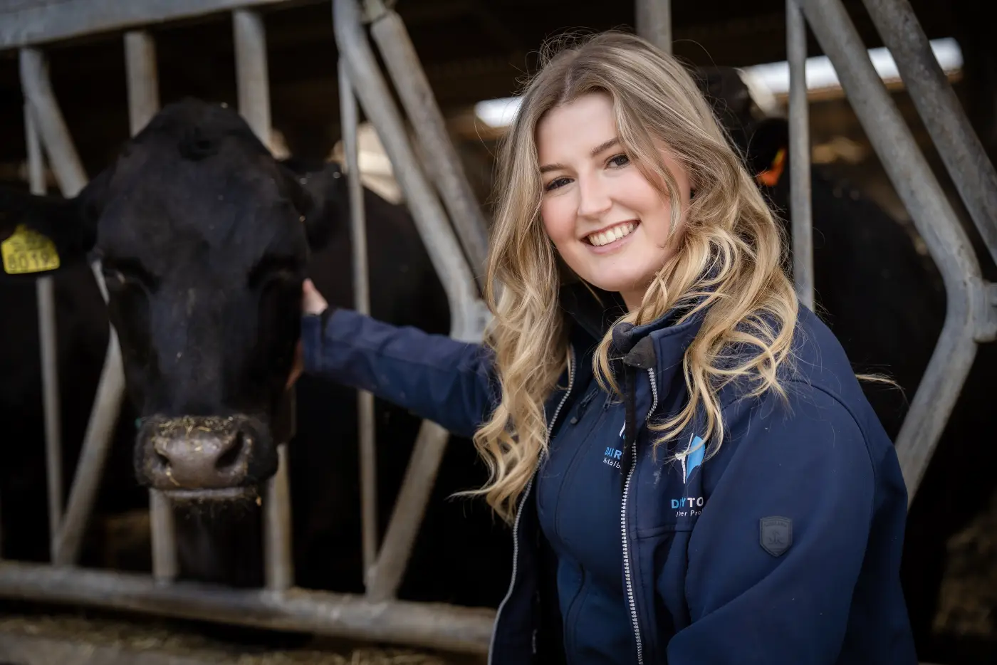 Adviseur van DairyTop in de stal, naast een koe aan het voerhek