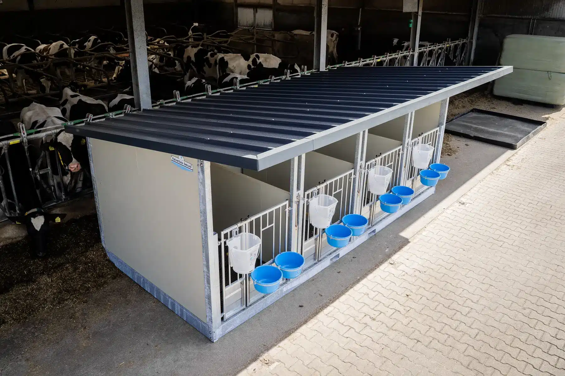 Quattro Kalverbox XL met antraciet geïsoleerd dak, van boven gezien in de stal
