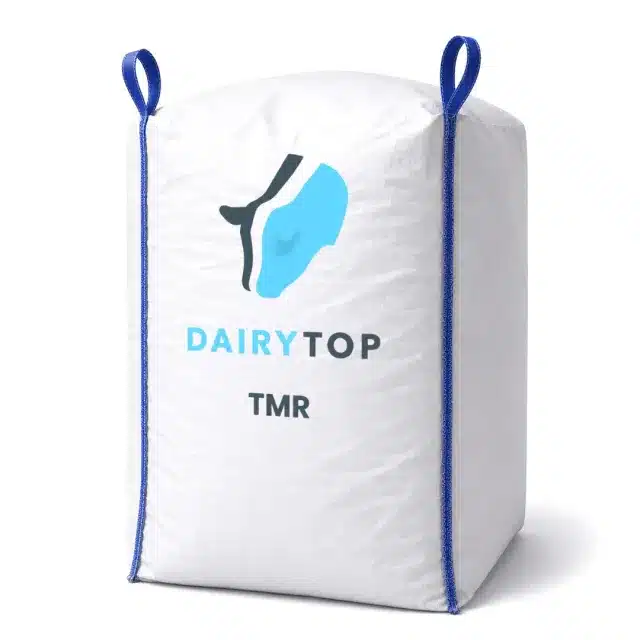 Dairy Kalver TMR