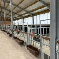 Groepshok Kalverhuisvesting